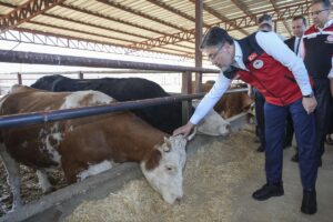 ANKARA (AA) – Tarım ve Orman Bakanı İbrahim Yumaklı, "Güçlü