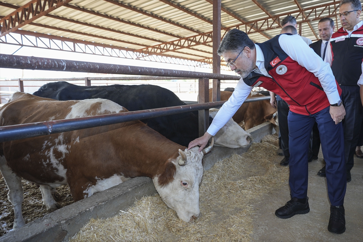 Bakan Yumaklı “Güçlü Besi Güçlü Üretim Projesi”ni açıkladı: