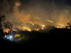 BALIKESİR (AA) – Balıkesir'in merkez Altıeylül ilçesindeki otluk ve makilik