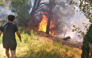 BALIKESİR (AA) – Balıkesir'in Erdek ilçesinde çıkan orman yangını ekiplerin