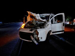 BİNGÖL (AA) – Bingöl'ün Karlıova ilçesinde ata çarpan hafif ticari