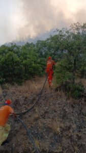 ​BİNGÖL (AA) – Bingöl'ün Kiğı ilçesinde çıkan orman yangını söndürüldü.