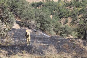 BİTLİS (AA) – Bitlis'in Hizan ilçesinde ağaçlık alanda çıkan yangın,