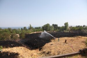 BİTLİS (AA) – Bitlis'in Ahlat ilçesinde mezarlıkta çıkan ot yangını