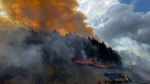 BOLU (AA) – Bolu'nun Mengen ilçesinde ormanlık alanda çıkan yangını