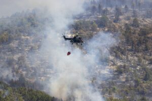 SOFYA (AA) – Bulgaristan'ın güneyindeki Sakar Dağı bölgesinde 30 bin