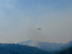 BURSA (AA) – Bursa'nın İznik ilçesinde makilik alanda çıkan yangına