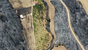 ÇANAKKALE (AA) – Çanakkale'de son haftalarda çıkan yangınların bazı tarım