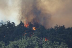 ÇANAKKALE (AA) – Çanakkale'nin Gelibolu ilçesinde çıkan yangına havadan ve