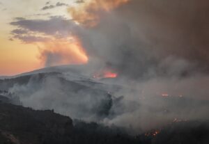 ÇANAKKALE (AA) – Çanakkale'nin Gelibolu ilçesinde ormanlık alanda çıkan yangına