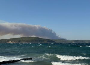 ÇANAKKALE (AA) – Çanakkale'nin Gelibolu ilçesinde ormanlık alanda çıkan yangına