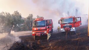 ÇANAKKALE (AA) – Çanakkale'nin merkez ilçesine bağlı Kepez beldesinde çıkan