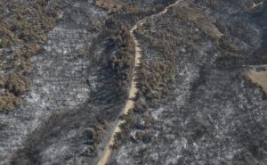 ÇANAKKALE (AA) – Çanakkale'nin Gelibolu ilçesinde kırsal alanda başlayıp ormana