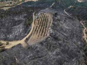 ÇANAKKALE (AA) – FATİH ÇAPKIN/SERGEN SEZGİN – Çanakkale'nin Gelibolu ilçesinde