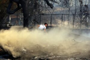 ÇANAKKALE (AA) – Çanakkale'nin merkeze bağlı Kepez beldesinde çıkan orman