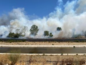 ÇANAKKALE (AA) – Çanakkale'nin Ayvacık ilçesinde çöplük alanda başlayıp ormanlık