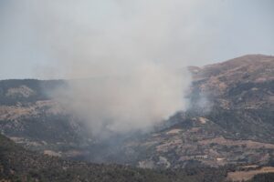 ÇORUM (AA) – Çorum'un Çalyayla köyündeki ormanlık alanda çıkan yangına