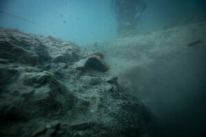 İZMİR (AA) – HÜSEYİN BAĞIŞ – İzmir'in Urla ilçesinde yer