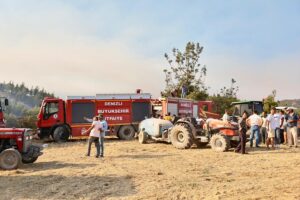 DENİZLİ (AA) – Denizli'nin Pamukkale ilçesinde çıkan orman yangınına havadan