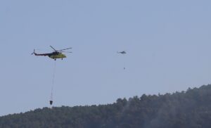 ANKARA (AA) – Orman Genel Müdürlüğü, Denizli'nin Pamukkale ilçesindeki orman