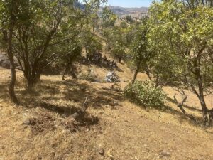 DİYARBAKIR (AA) – Diyarbakır'ın Çermik ilçesinde otomobilin devrilmesi sonucu 3'ü