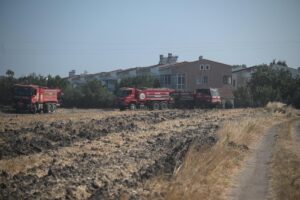 EDİRNE (AA) – Edirne Valisi Yunus Sezer, orman yangınından etkilenen