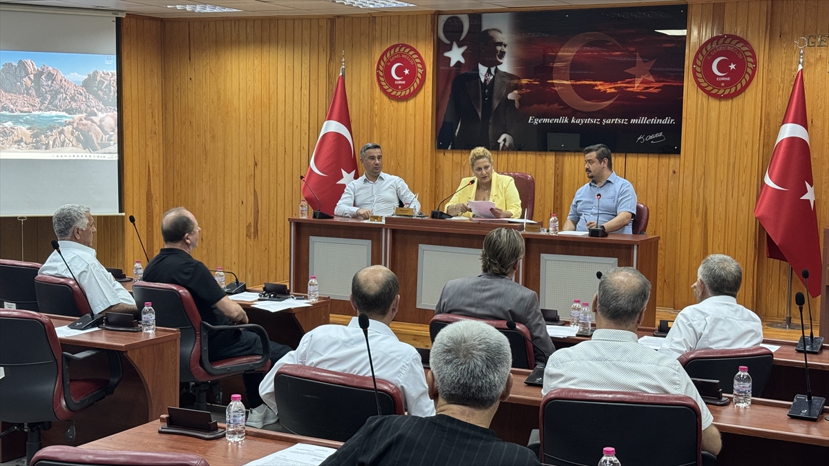 Edirne'de 2 bin 860 sahipsiz köpek barınağa ulaştırıldı