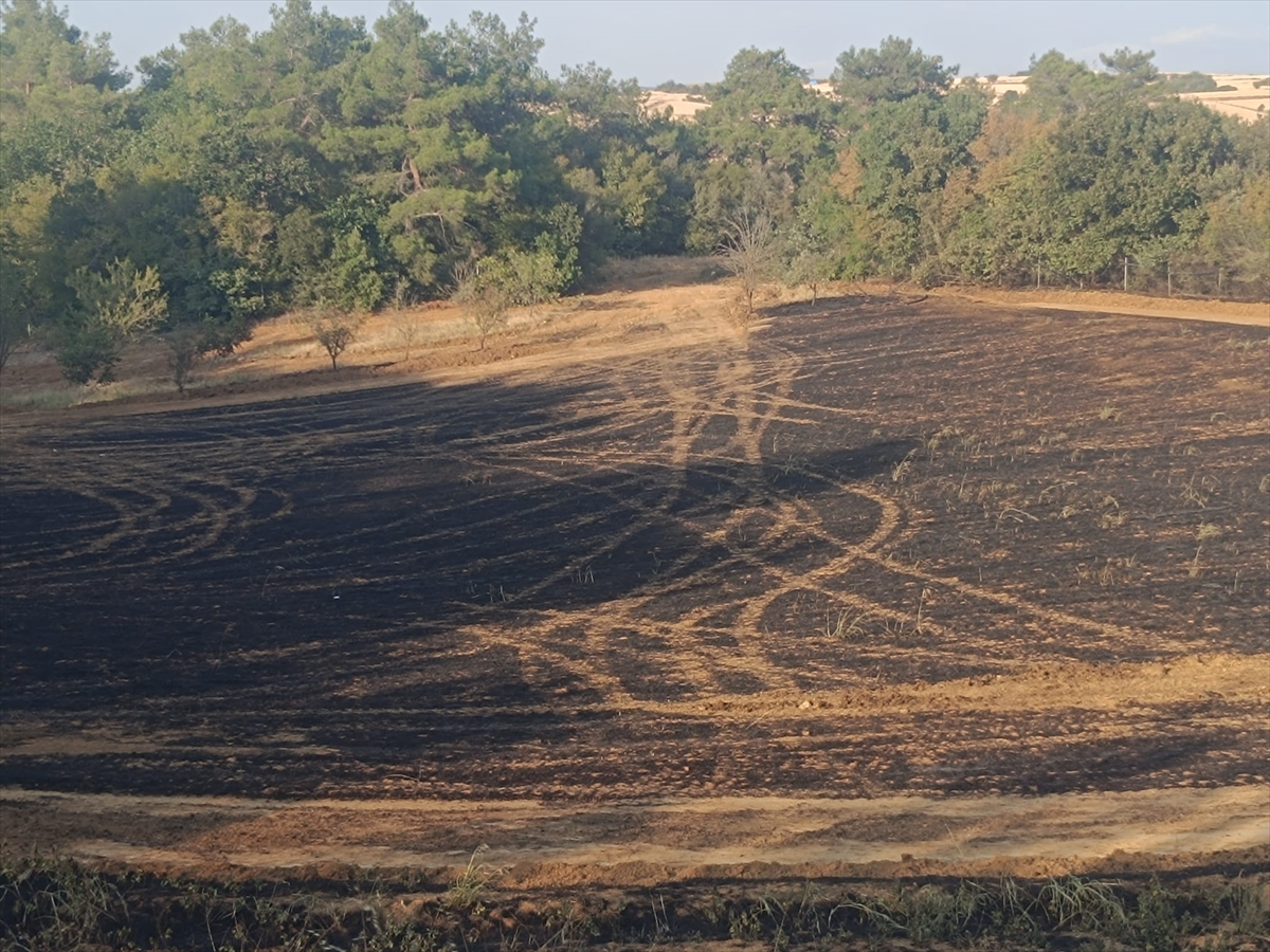 Edirne'de çıkan orman yangını kontrol altına alındı