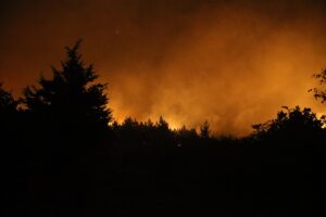 EDİRNE (AA) – Edirne'nin Enez ilçesine bağlı Büyükevren ve Gülçavuş