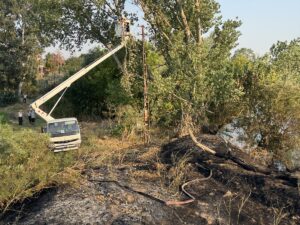 EDİRNE (AA) – Edirne'de, Tunca Nehri kenarında otluk ve ağaçlık