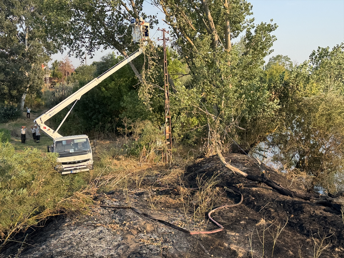 Edirne'de Tunca Nehri kenarında çıkan yangın söndürüldü