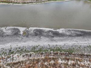 EDİRNE (AA) – Edirne'nin merkeze bağlı Demirhanlı köyündeki göletin su