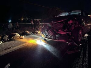 ERZİNCAN (AA) – Erzincan'da SUV tipi aracın çarptığı sürüdeki 23