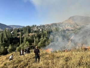 ERZURUM (AA) – Erzurum'un Oltu ilçesinde çıkan örtü yangını söndürüldü.