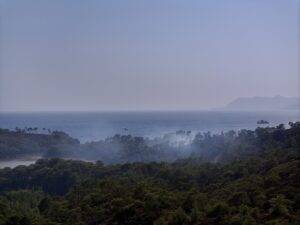 MUĞLA (AA) – Muğla'nın Fethiye ilçesinde çıkan orman yangını, havadan