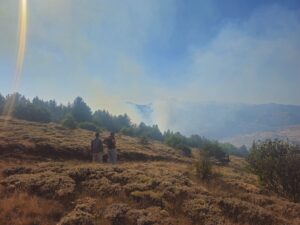 GÜMÜŞHANE (AA) – Gümüşhane'nin Kelkit ilçesinde çıkan orman yangınına müdahale