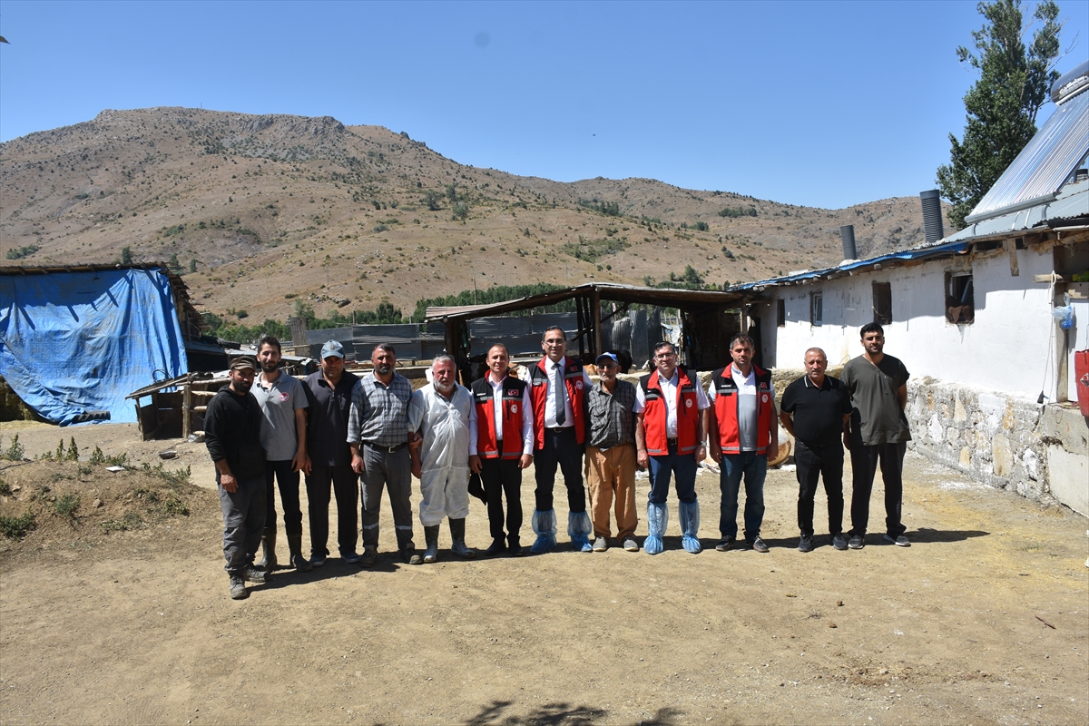 Gümüşhane'de şap hastalığıyla mücadele sürüyor