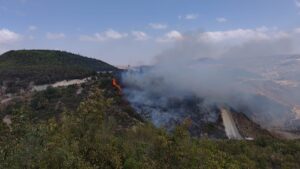 HATAY (AA) – Hatay'ın Yayladağı ilçesindeki Suriye sınırındaki ormanlık alanda