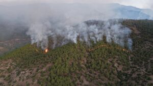 HATAY (AA) – Hatay'ın Hassa ilçesinde, dün akşam saatlerinde çıkan