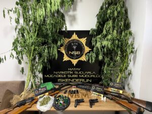 HATAY (AA) – Hatay'ın Belen ilçesinde makilik alanda ruhsatsız 2