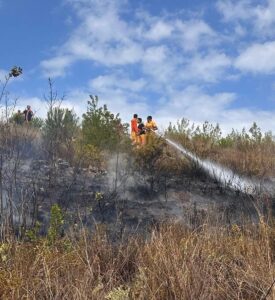 HATAY (AA) – Hatay'ın Arsuz ilçesinde ormanlık alanda çıkan yangın,