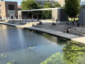 ROTTERDAM (AA) – Hollanda Halk Sağlığı ve Çevre Enstitüsü (RIVM),