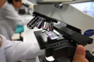 DÜZCE (AA) – ÖMER ÜRER – Düzce Üniversitesi Arıcılık Araştırma