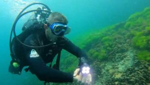 - Sahil güvenlik dalgıçlarından oluşan Dalış, Emniyet, Güvenlik ve Arama