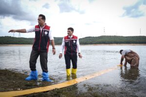 İSTANBUL (AA) – İstanbul İl Tarım ve Orman Müdürlüğü tarafından