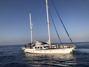 - Göçmen kaçakçılığı yaptıkları iddiasıyla 3 şüpheli gözaltına alındı