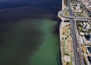 İZMİR (AA) – Geçen yıl kötü koku ve balık ölümleriyle