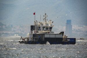 - Körfezde kıyıya vuran balıklar, belediye ekiplerince toplanıp çöp torbalarına