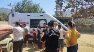 İZMİR (AA) – İzmir'in Ödemiş ilçesinde bir çiftlikte çıkan yangında