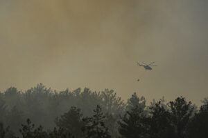 İZMİR (AA) – İzmir'in Menderes ilçesinde tarım arazisinde başlayıp ormanlık